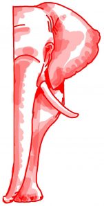 An illustration of a red elephant